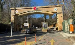 (km²) İstanbul'un akciğerleri olarak biliniyor: Belgrad Ormanı büyüklüğü kaç metrekare?