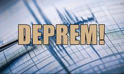 Erzincan Tercan'da 4.3 Şiddetinde Deprem!