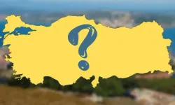 Orman Genel Müdürlüğü 3729 Kadrolu İşçi ve Sözleşmeli Personel Alacak!