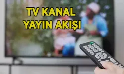 Kanal D, TRT 1, Star TV, Show TV, ATV, TV8, NOW TV kanal yayın akışı listesi: TV KANAL YAYIN AKIŞI 11 NİSAN! Bu akşam TV'de hangi dizi ve programlar var?