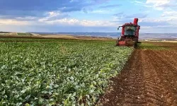 TC Kimlik Numarası sıralaması ile 2025 Nisan mazot ve gübre desteği yattı mı, ne zaman hesaplara ödenecek? MAZOT GÜBRE DESTEĞİ ÖDEME TARİHİ TAKVİMİ