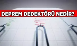 Deprem Dedektörü Nedir? Deprem Sensörü Ne İşe Yarar?