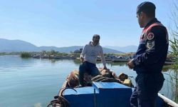 Bafa Gölü’nde doğal hayat Jandarmanın takibinde