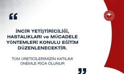 Buharkent’te incir üreticilerine özel eğitim toplantısı
