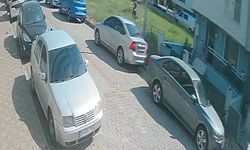 Efeler'de Köpek Saldırısı: 1 Yaralı