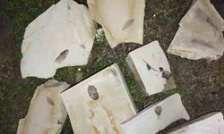 Kuşadası'nda 15 Milyon Yıllık Yaprak Fosilleri Bulundu