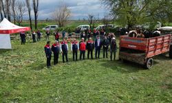 Yenipazar'da Tarım Bakanlığı’nın Desteklediği Mera Kullanıma Açıldı