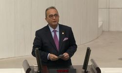 Bülent Tezcan, Dolu Nedeniyle Mağdur Olan Çiftçilerin Sorunlarını TBMM Gündemine Taşıdı