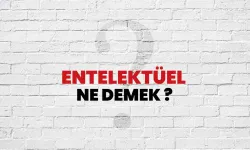 Entelektüel eş anlamlısı nedir ve kime denir? Entelektüel ne demek, ne anlama gelir?