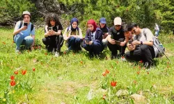 Sadece Manisa'da görülüyor! Yılda 1 kez ortaya çıkıyor, 10 gün ömrü var, bunu yapan 557 bin TL hazırlasın