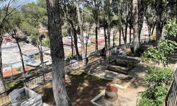 Aydın'da jandarmadan ‘dumansız piknik’ uyarısı