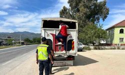 Karpuzlu'da eksik evrakla canlı hayvan taşıyan 2 kişi cezadan kaçamadı