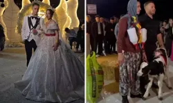 DAMAT ŞOKTA! Düğünde TAKILANLAR DUDAK UÇUKLATTI! Köy Düğününde AKIL ALMAZ ANLAR!