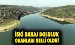 28 Mayıs 2025 İstanbul baraj doluluk oranları yüzde kaç oldu? İSKİ baraj doluluk oranları belli oldu!
