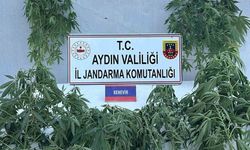 Aydın jandarmasından uyuşturucu operasyonu: 16 gözaltı