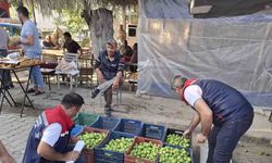 Kuyucak İlek Pazarı’nda denetim ve bilgilendirme