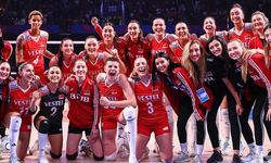 Boskovic neden milli takımda yok?