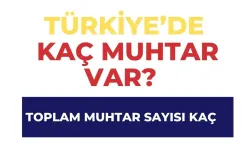 Türkiye’de Kaç Muhtar Var? Resmi Verilere Göre Toplam Muhtar Sayısı Kaç