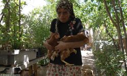 Bu kaos ortamında... Seferihisar’dan yürekleri ısıtan bir haber