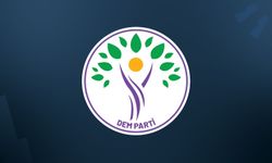 DEM Parti'den ilk açıklama: Şimdi hukuki düzenleme zamanı