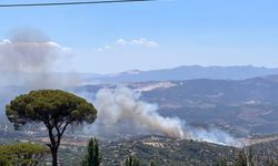 Çine’deki yangın kontrol altına alındı