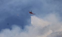 Efeler'de 7 hava aracı, 244 personel alevlerle mücadele ediyor