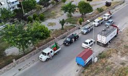Nazilli Belediyesi’nden haşere ile etkin mücadele