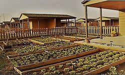 Kuşadası’nda vatandaşlara hobi bahçesi satışı uyarısı