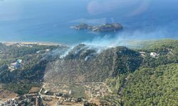 Muğla'da orman yangını