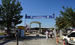 Türkiye'de şap paniği! Tüm hayvan pazarları kapatıldı