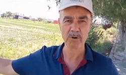 Çiftçiler yetersiz verilen suya isyan ediyor