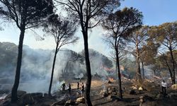 Bergama’da orman yangını evlere sıçradı
