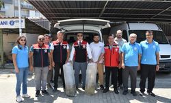Aydın’da 153 bin sazan yavrusu doğayla buluştu