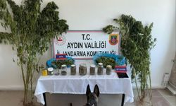 Aydın’da jandarmadan uyuşturucu operasyonu: 12 şüpheli yakalandı