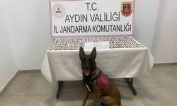 Aydın’da jandarmadan uyuşturucu operasyonu: 3 gözaltı