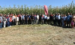 Aydın’da kaba yem açığını kapatacak proje meyvelerini veriyor