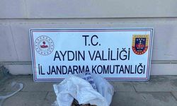 Bahçeden 50 kilo incir çalan şüpheliler jandarmadan kaçamadı
