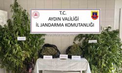 Bozdoğan’da uyuşturucu operasyonu