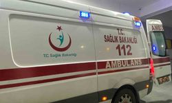 Germencik'te komşusunu domuz sanarak yaraladı