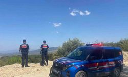 Jandarmanın orman devriyesi sürüyor