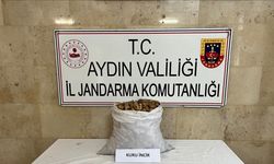 Motosikletli incir hırsızı jandarmadan kaçamadı
