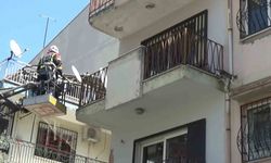 Sevimli kediyi kurtarmak için tüm ekipler seferber oldu, o kurtarılacağı anda atlayıp gitti