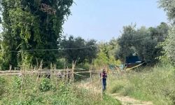 Sökeli çiftçiyi domuzlar mı öldürdü?