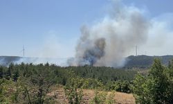 Çanakkale’de orman yangını