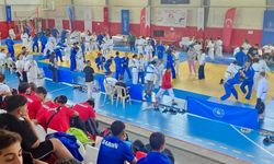 Türkiye şampiyonası Koçarlı’da başladı