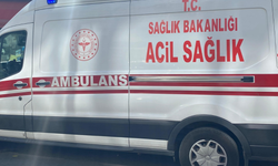 Maddi anlaşmazlık kardeşleri birbirlerini düşürdü: 2 yaralı