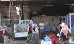 Aydın'da adının hakkını veren mahalle: Acarlar