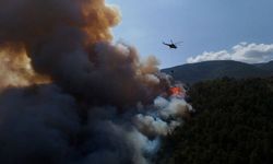 Karabük'te orman yangını