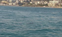Kuşadası'nda denizde erkek cesedi bulundu