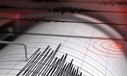 Erzurum'da 4.4 büyüklüğünde deprem
